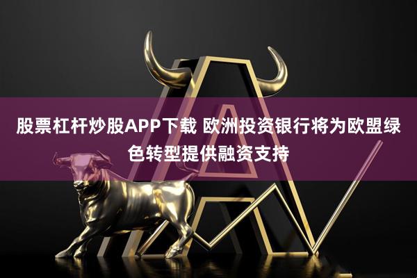 股票杠杆炒股APP下载 欧洲投资银行将为欧盟绿色转型提供融资支持