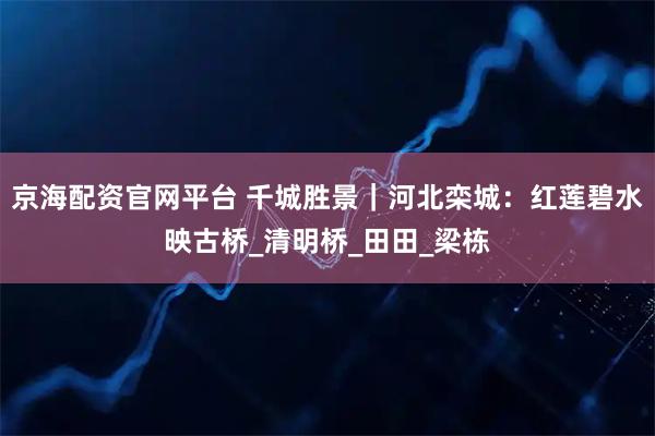 京海配资官网平台 千城胜景｜河北栾城：红莲碧水映古桥_清明桥_田田_梁栋